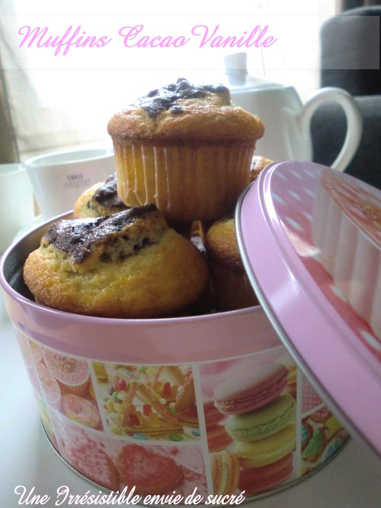 Muffins Cacao Vanille Ultra Moelleux 