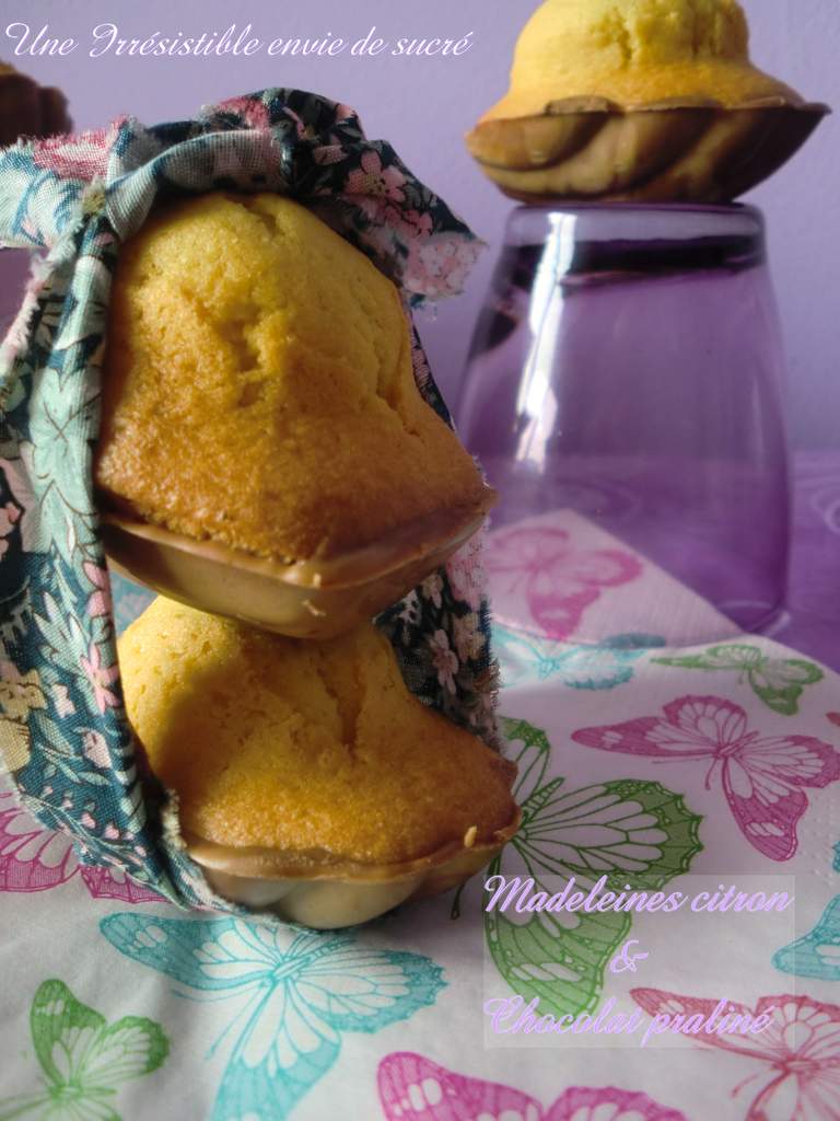 Madeleines citron &amp; Coque chocolat praliné